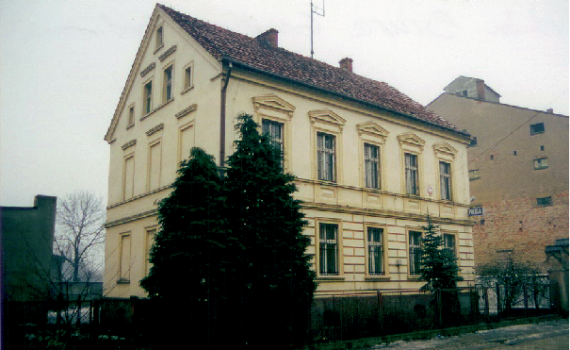 pusice